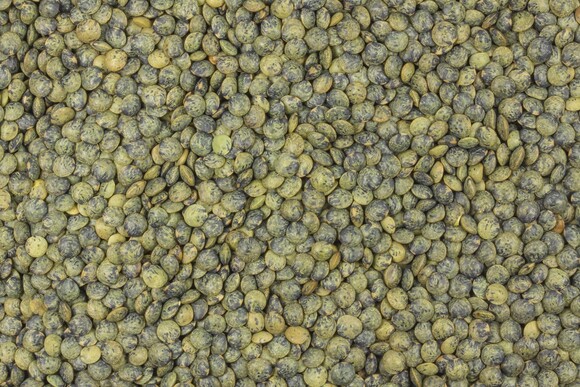 lentils green (marbled) organic