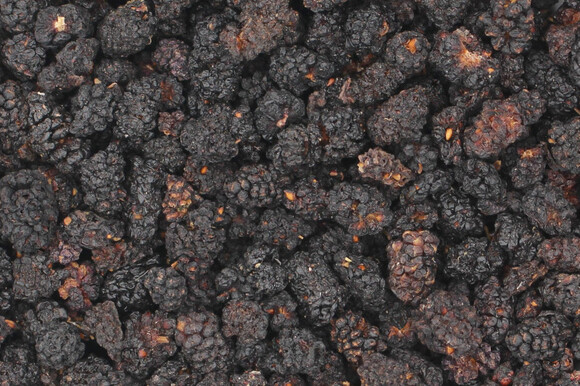mulberries black organic