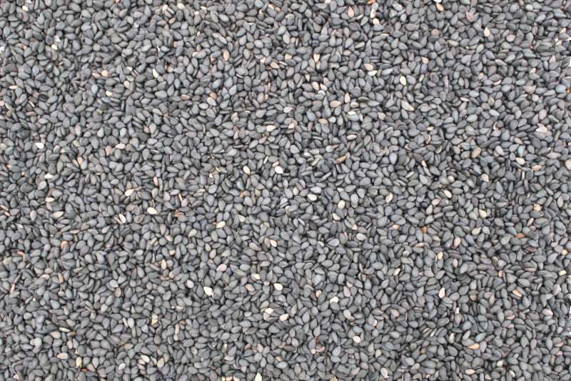 Sesamsaat schwarz bio 6x250g