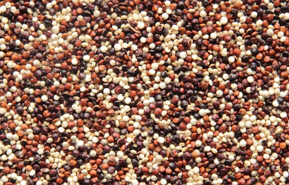 Quinoa Tricolore organic