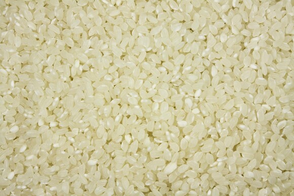 rice white round grain organic