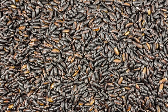 rice longrain (black venus) organic