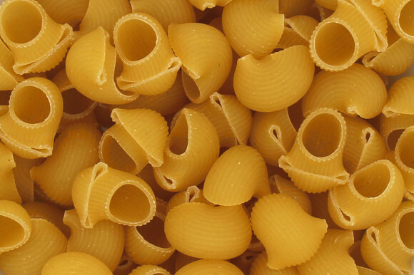 pasta shells organic
