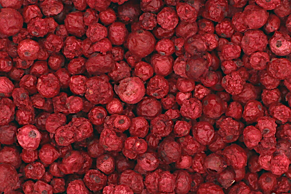 red currant freeze dried organic