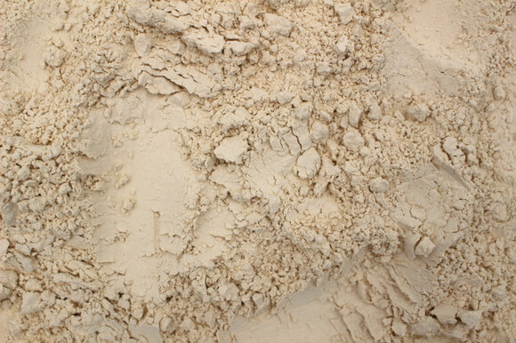 rice protein powder white organic