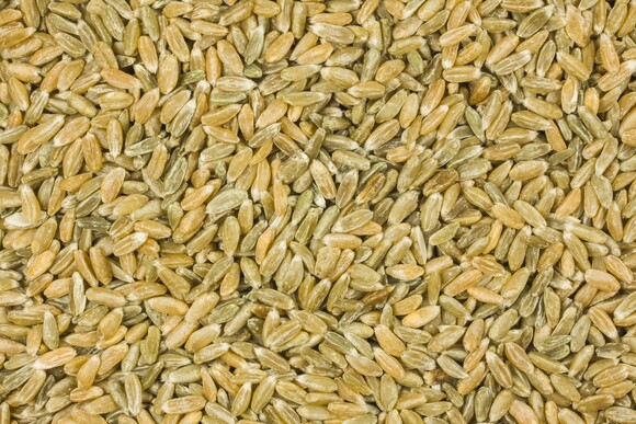 unripe spelt grain organic 6x5 00g