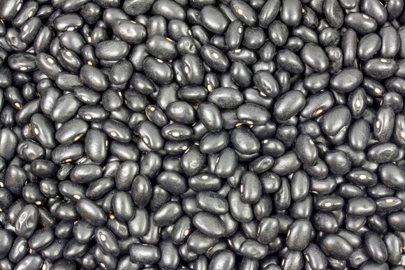 black turtle beans organic