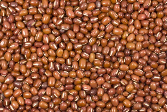 beans azuki organic