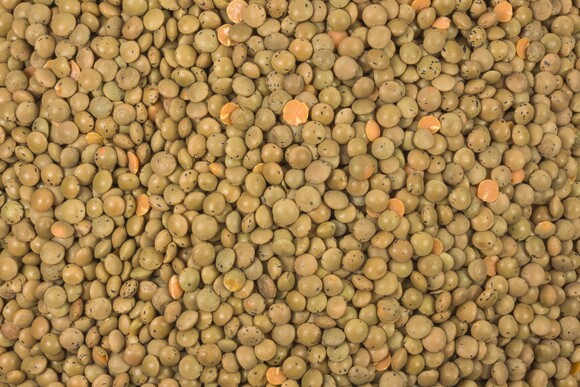 lentils brown organic (red with skin)