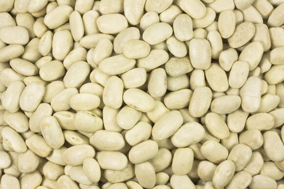 White beans organic