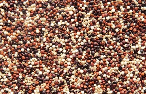Quinoa Tricolore organic