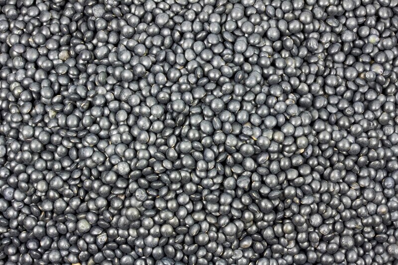 lentils black organic (Beluga)