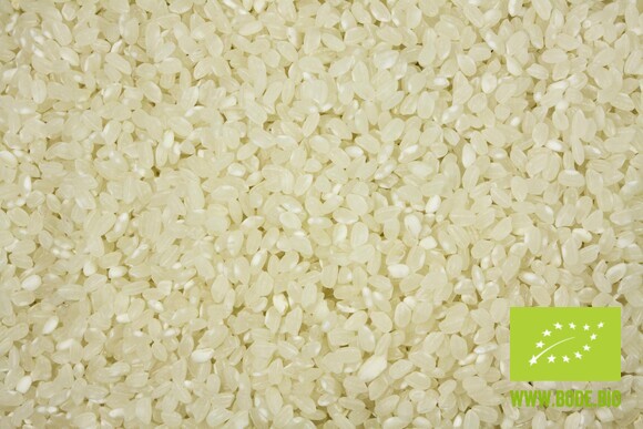rice white round grain organic