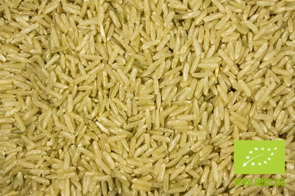 rice Jasmin whole grain organic