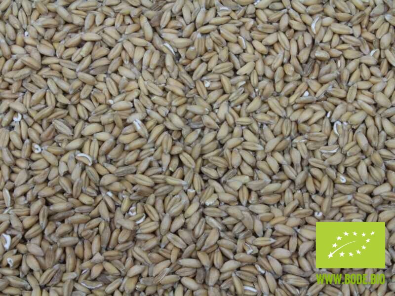 emmer wheat organic 25kg