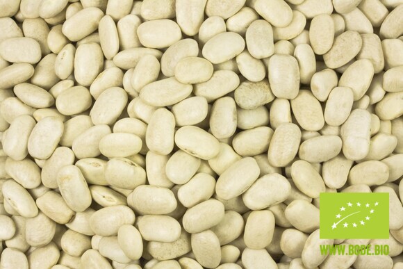 beans white organic