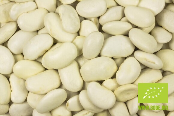 white beans jumbo organic