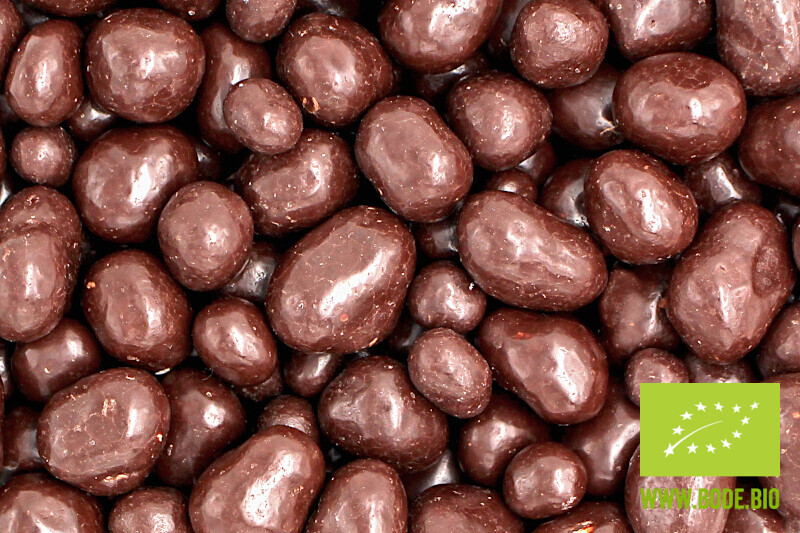 organic coconut crunchies in dark chocolate organic Fairtrade