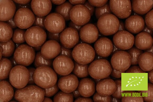 Haselnüsse geröstet in Vollmilchschokolade bio Fairtrade