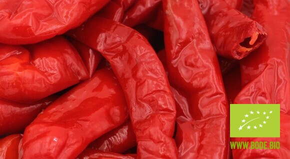 red pepper whole in brine drained weight: 1,75kg organic