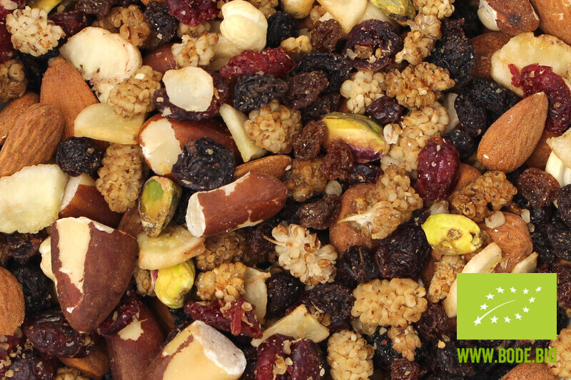 nut fruit mixture (dried grapes, mulberries, brasil nuts, cashew kernels) organic
