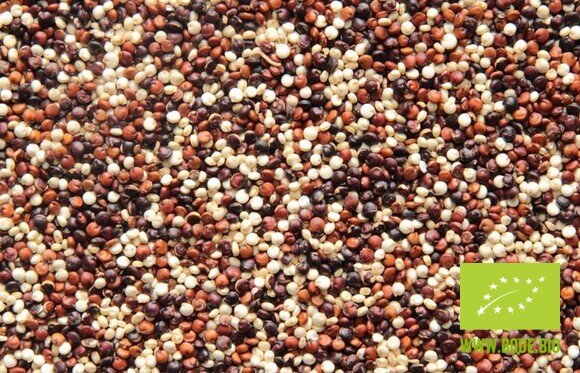Quinoa Tricolore bio 12,5kg