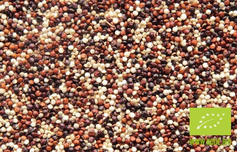 Quinoa Tricolore bio 12,5kg