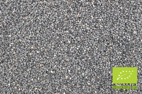 sesame seeds black natural organic