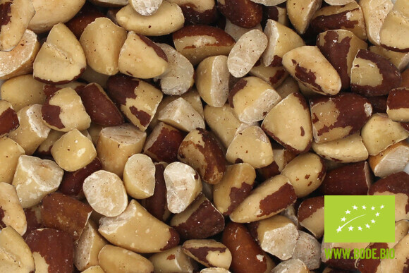 brazil nut pieces organic