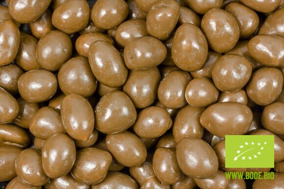 peanuts in chocolate organic