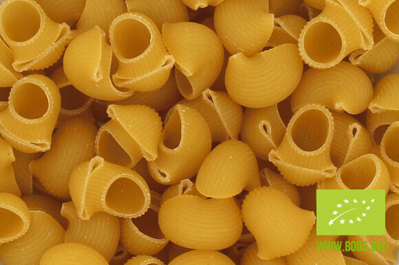 pasta shells organic