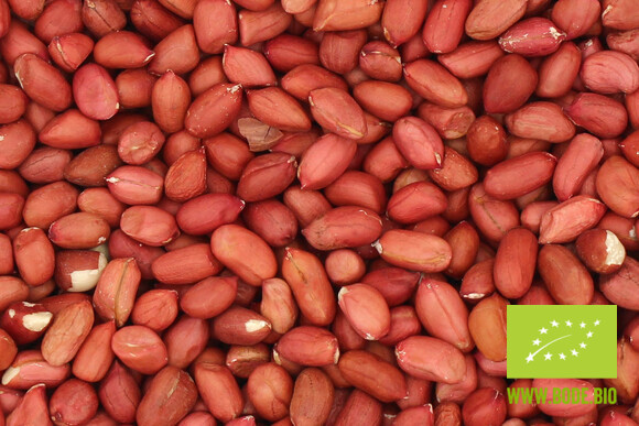 Erdnusskerne mit roter Haut bio