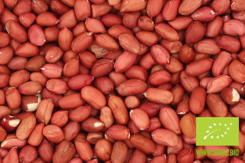 peanut kernels with skin raw organic