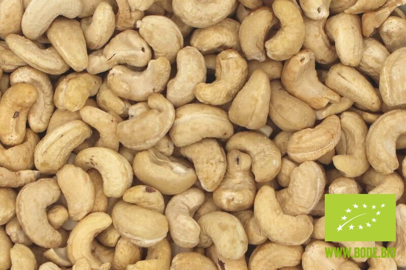 cashew kernels 400-450 organic