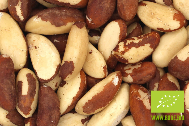 brazil nuts organic