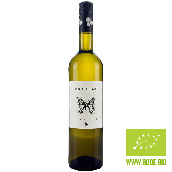 Pinot Grigio Terre Siciliane IGP white wine organic 6x0,75l year 2019