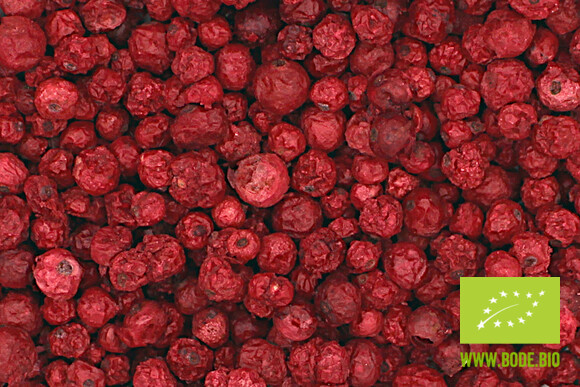 red currant freeze dried organic