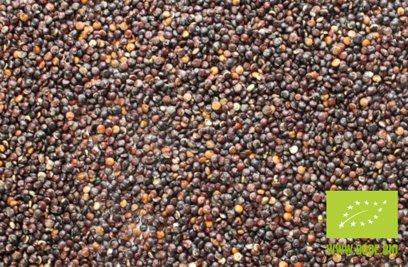 Quinoa schwarz bio