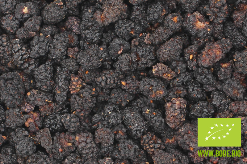 mulberries black organic