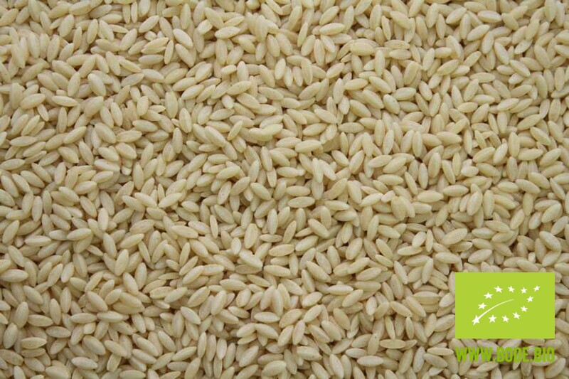 Risoni organic, pasta in rice-size