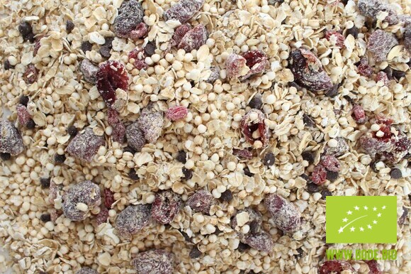 Quinoa Porridge Cranberry & Schoko bio