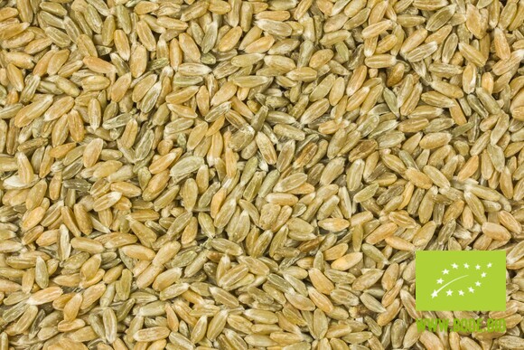 unripe spelt grain organic 6x5 00g