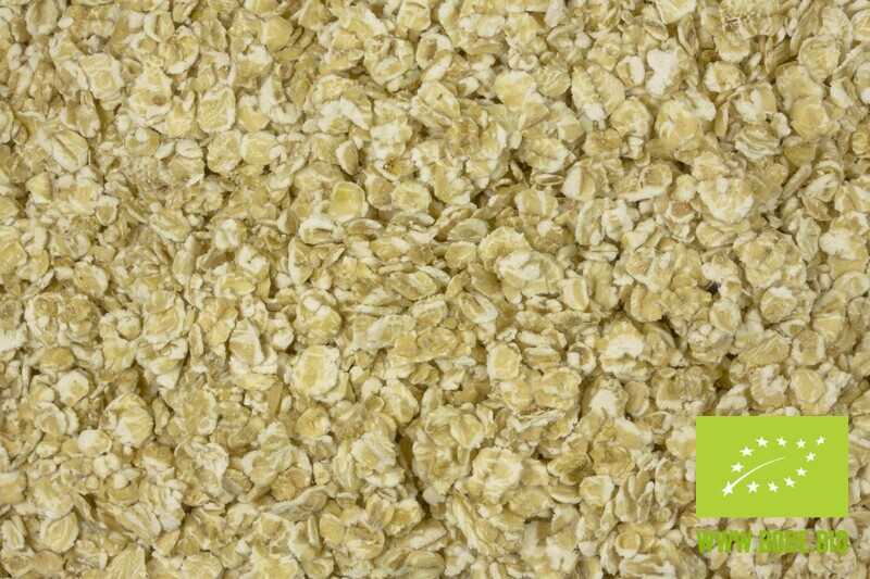 oat flakes fine organic 6x1kg