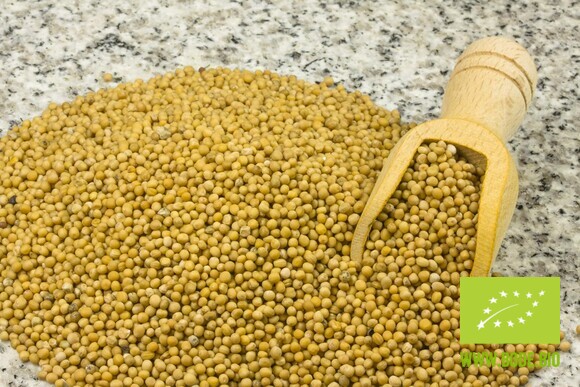 mustard seed yellow organic