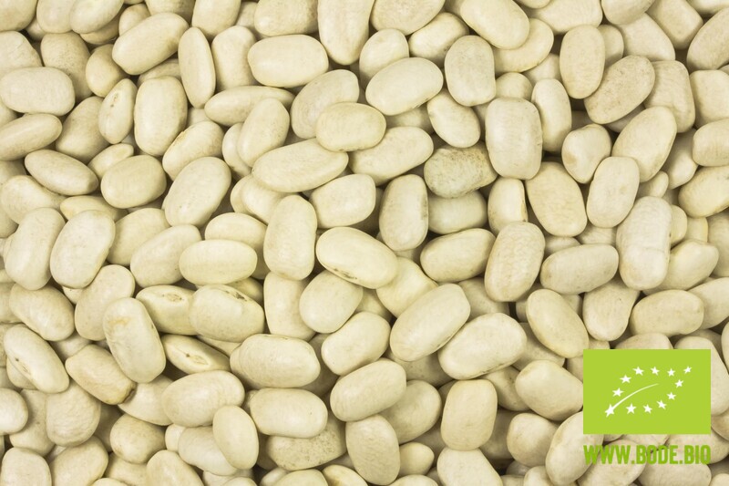 white beans organic