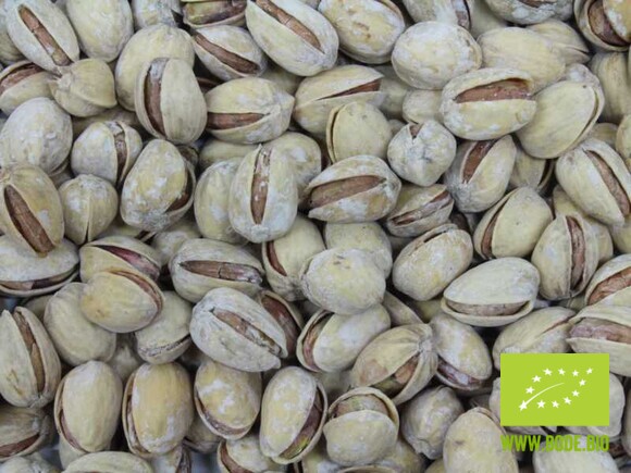 pistachios roasted and salted in shell organic