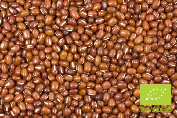 beans azuki organic