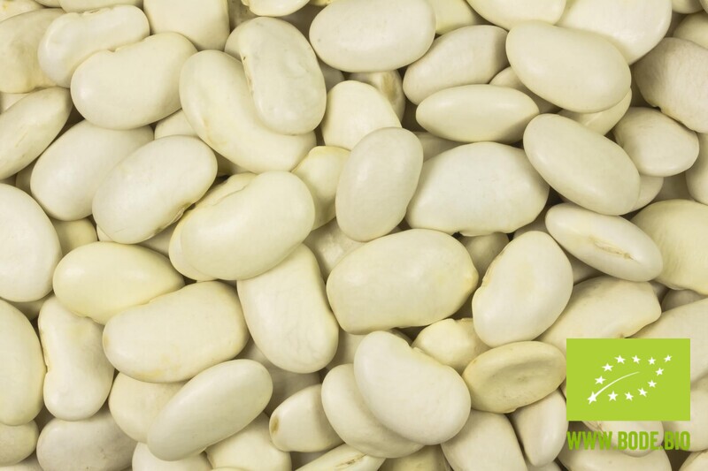 White beans jumbo organic