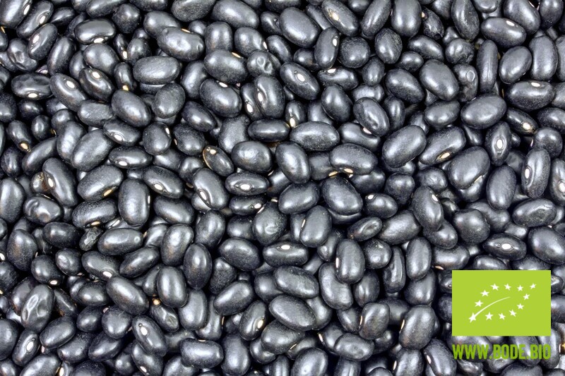 black turtle beans organic