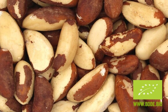 brazil nut kernels medium organic